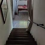 Cigolotti Vivaro
