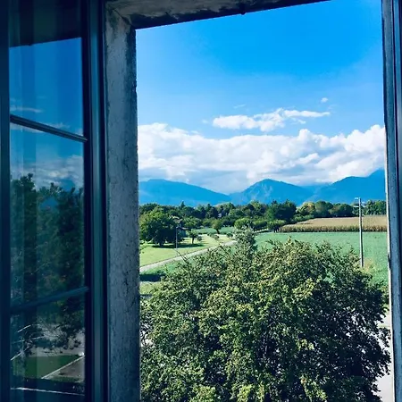 Cigolotti Vivaro