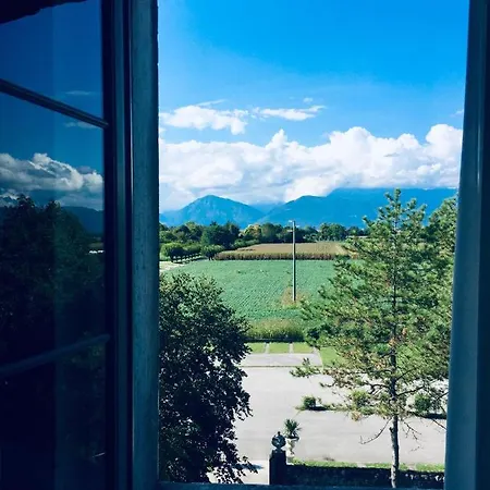 Cigolotti Szálloda Vivaro