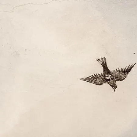 Cigolotti מלון 4*