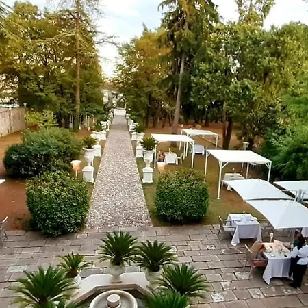 Cigolotti Vivaro