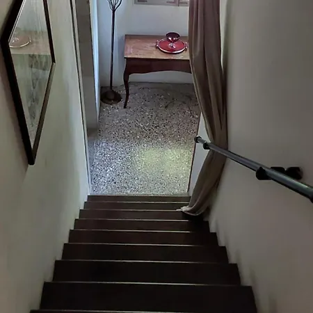 Cigolotti Vivaro
