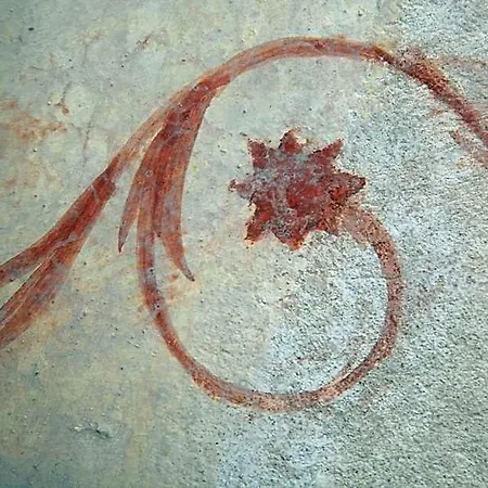 Cigolotti Vivaro
